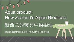 aqua product new zealand's algae biodiesel reading answers with explanation