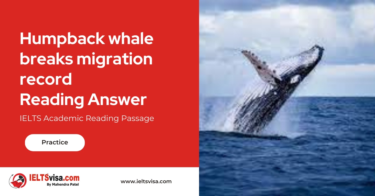 Humpback Whale Breaks Migration Record Reading Answer