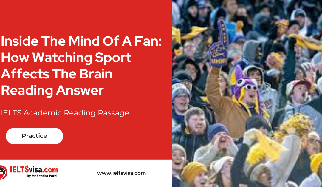 Inside The Mind Of A Fan How Watching Sport Affects The Brain Reading Answer
