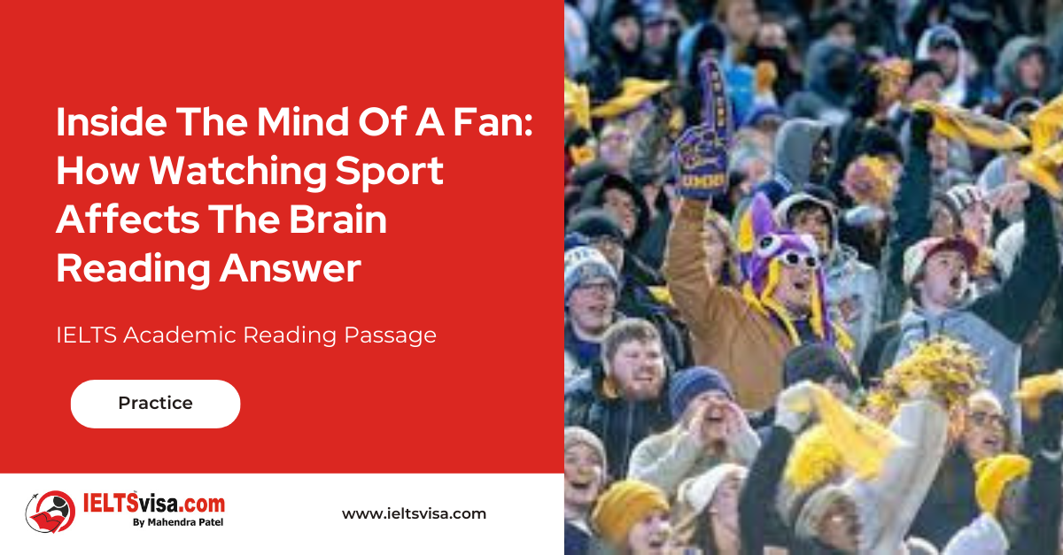 Inside The Mind Of A Fan How Watching Sport Affects The Brain Reading Answer