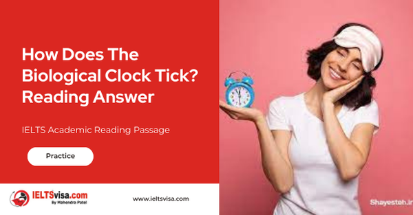 How Does The Biological Clock Tick? Reading Answer