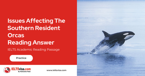 Issues Affecting The Southern Resident Orcas Reading Answer