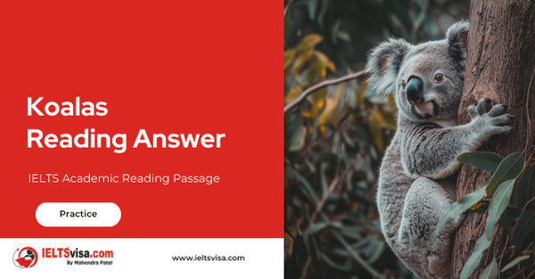 Koalas Reading Answer