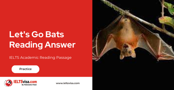 Let’s Go Bats Reading Answer