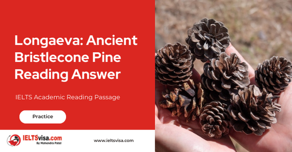 Longaeva: Ancient Bristlecone Pine