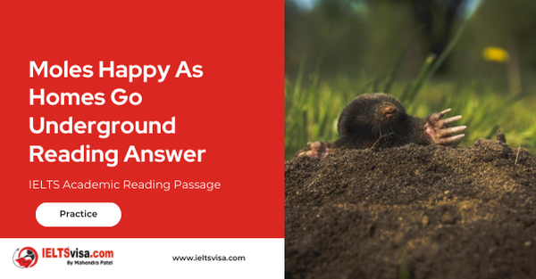 Moles Happy As Homes Go Underground Reading Answer