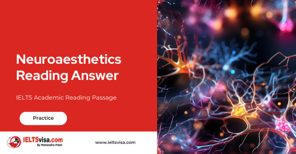 Neuroaesthetics Reading Answer