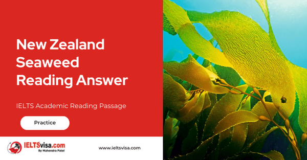 New Zealand Seaweed Reading Answer