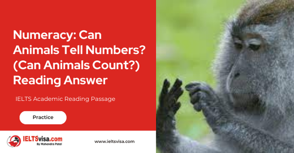 Numeracy: Can Animals Tell Numbers? (Can Animals Count?) Reading Answer