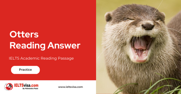 Otter Reading Answer