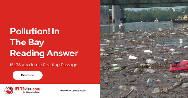 Pollution! In The Bay Reading Answer