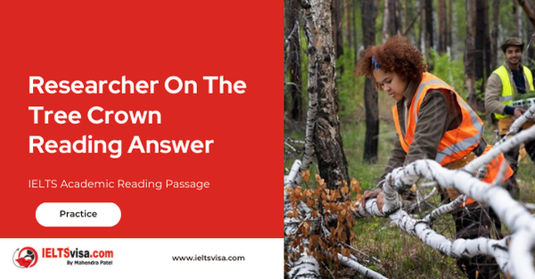 Researcher On The Tree Crown Reading Answer