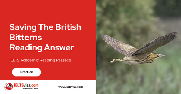 Saving The British Bitterns  Reading Answer