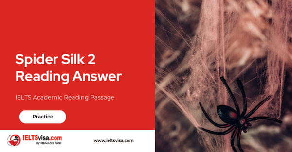 Spider Silk 2 Reading Answer