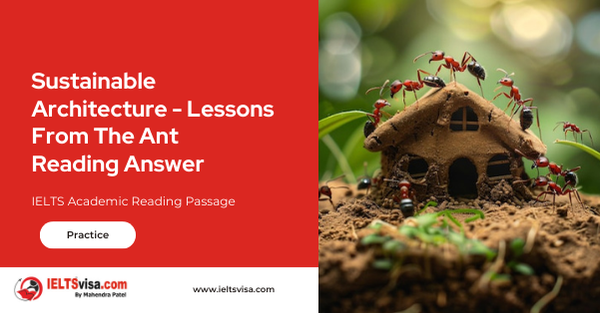 Sustainable Architecture – Lessons From The Ant Reading Answer