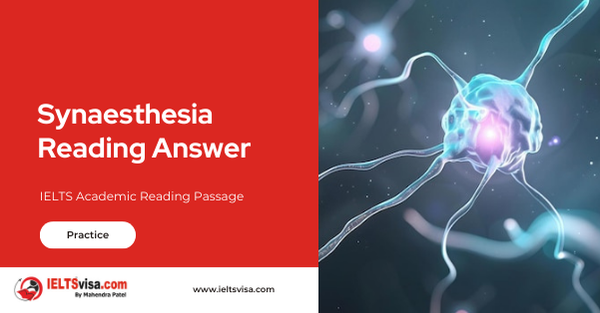 Synesthesia Reading Answer