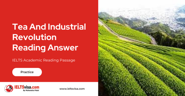 Tea And The Industrial Revolution Reading Answer