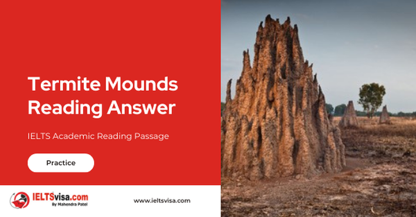 Termite Mounds Reading Answer