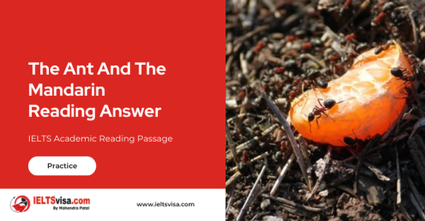 The Ant And The Mandarin Reading Answer