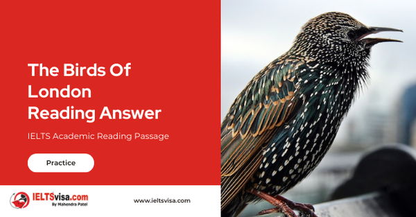 The Birds Of London Reading Answer