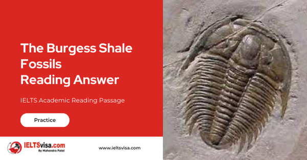 The Burgess Shale Fossils Reading Answer