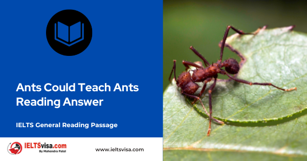 Ants Could Teach Ants Reading Answer