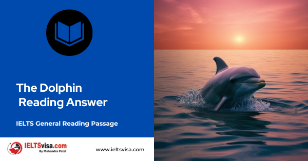 The  Dolphin Reading Answer