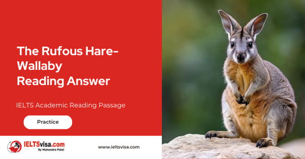 The Rufous Hare-Wallaby Reading Answer