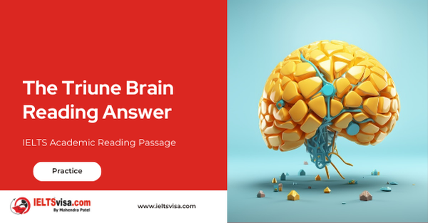 The Triune Brain Reading Answer