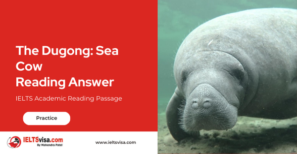 The Dugong: Sea Cow Reading Answer