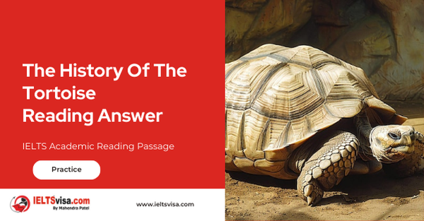 The History Of The Tortoise Reading Answer