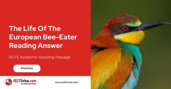 The Life Of The European Bee-Eater Reading Answer