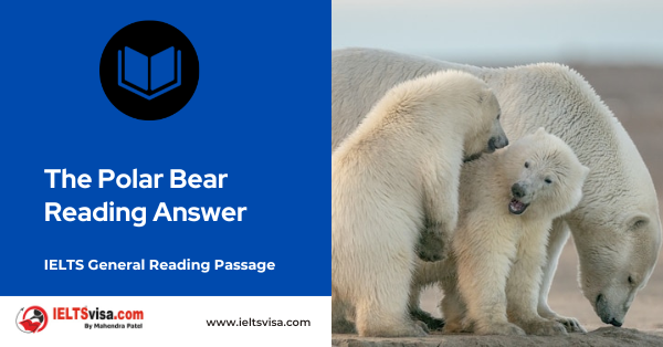 The Polar Bear  Reading Answer