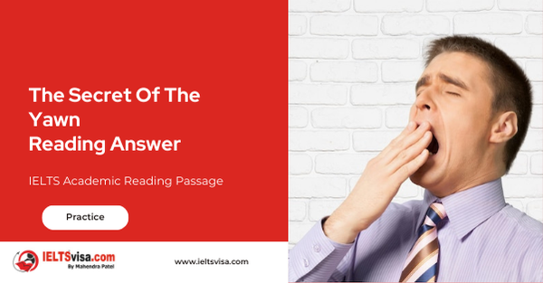 The Secret Of The Yawn Reading Answer