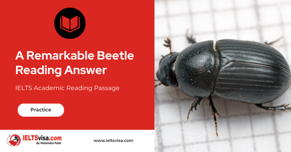 A Remarkable Beetle Reading Answer