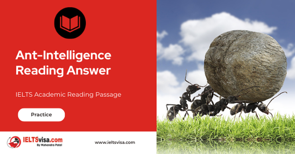 Ant-Intelligence Reading Answer