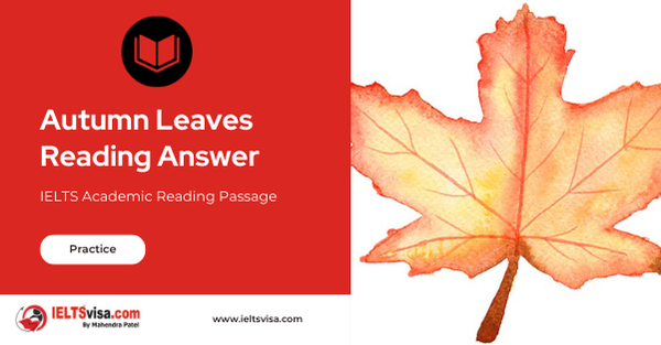 Autumn Leaves Reading Answer