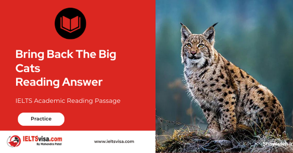 Bring Back The Big Cats  Reading Answer