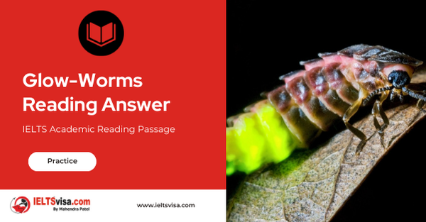 Glow-Worms Reading Answer