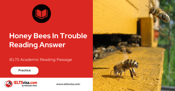 Honey Bees In Trouble Reading Answer