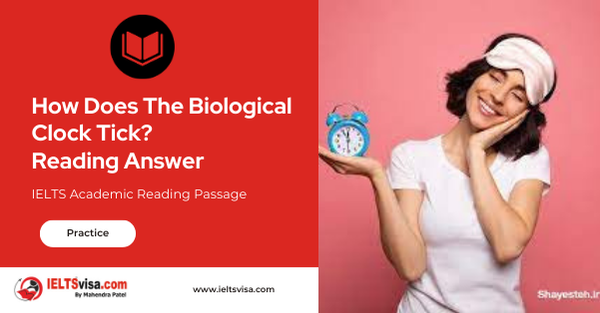 How Does The Biological Clock Tick? Reading Answer