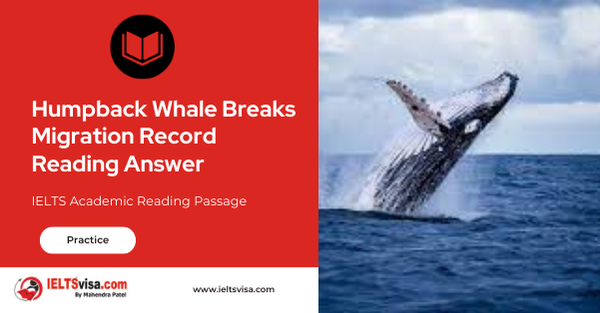 Humpback Whale Breaks Migration Record Reading Answer