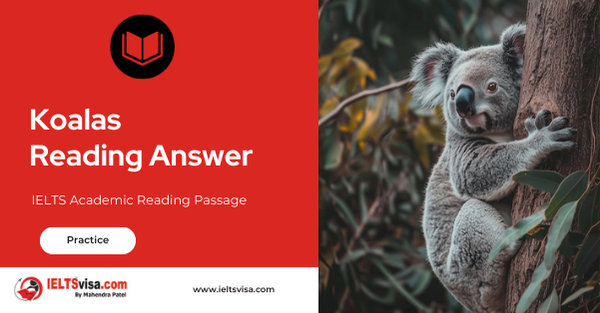 Koalas Reading Answer