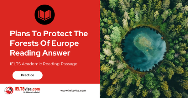 Plans To Protect The Forests Of Europe Reading Answer