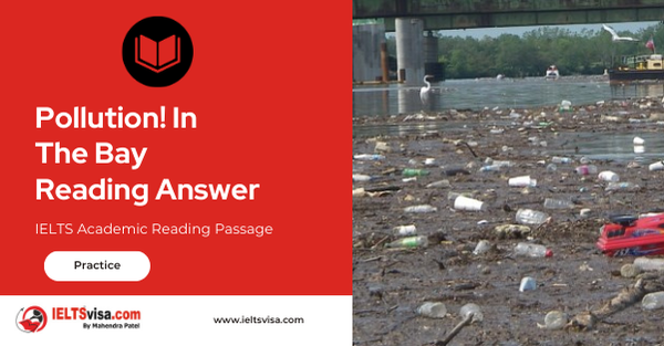 Pollution! In The Bay Reading Answer