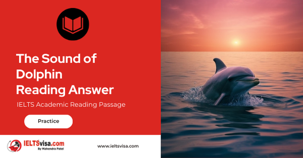 The Sound Of Dolphin Reading Answer