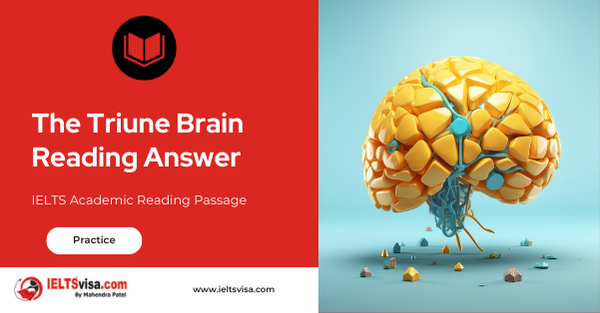 The Triune Brain Reading Answer