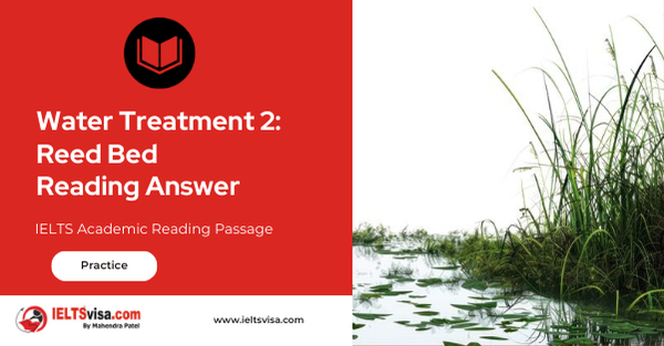 Water Treatment 2: Reed Bed Reading Answer