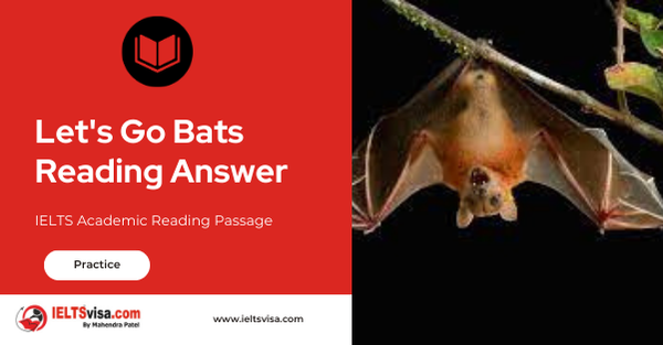 Let’s Go Bats Reading Answer