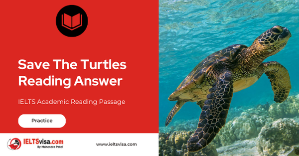 Save The Turtles Reading Answer